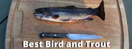Best Bird and Trout Knife